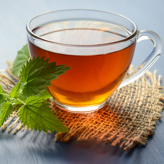 What is Rooibos Tea?