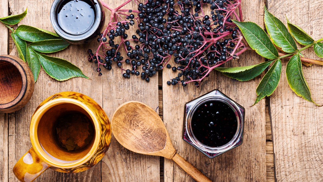 Elderberry - A Great Source of Antioxidants