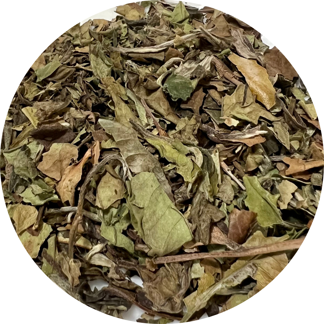 Mu Can Tea Pai Mu Tan (Organic) - White Tea – The Tea Experience NY