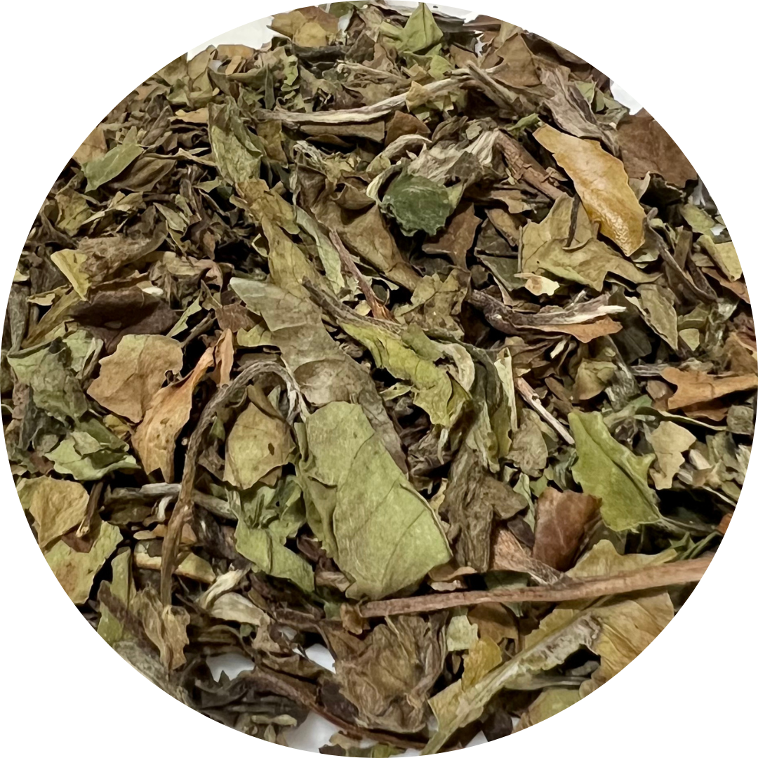 Pai Mu Tan (Organic) - White Tea